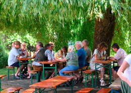 HAGLMO Harmonikabau - Tag der offenen Tür 2025